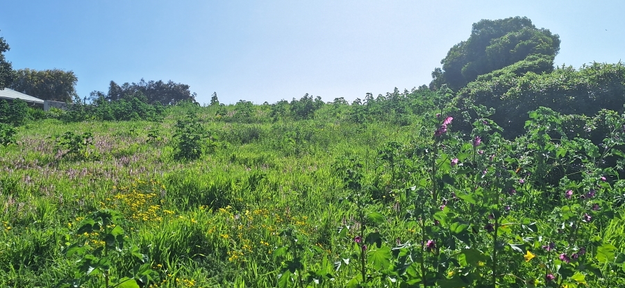 0 Bedroom Property for Sale in Parkersdorp Western Cape